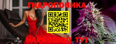 СК Пушкино