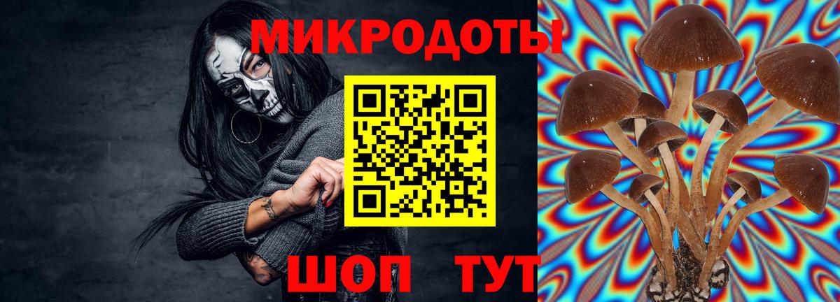 Псилоцибиновые грибы мухоморы  купить наркотик  Реутов  Вход с VPN 